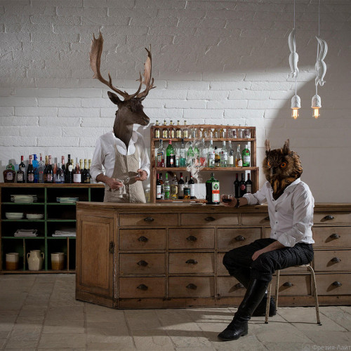 Люстра Karman SHERWOOD & ROBIN by Matteo Ugolini